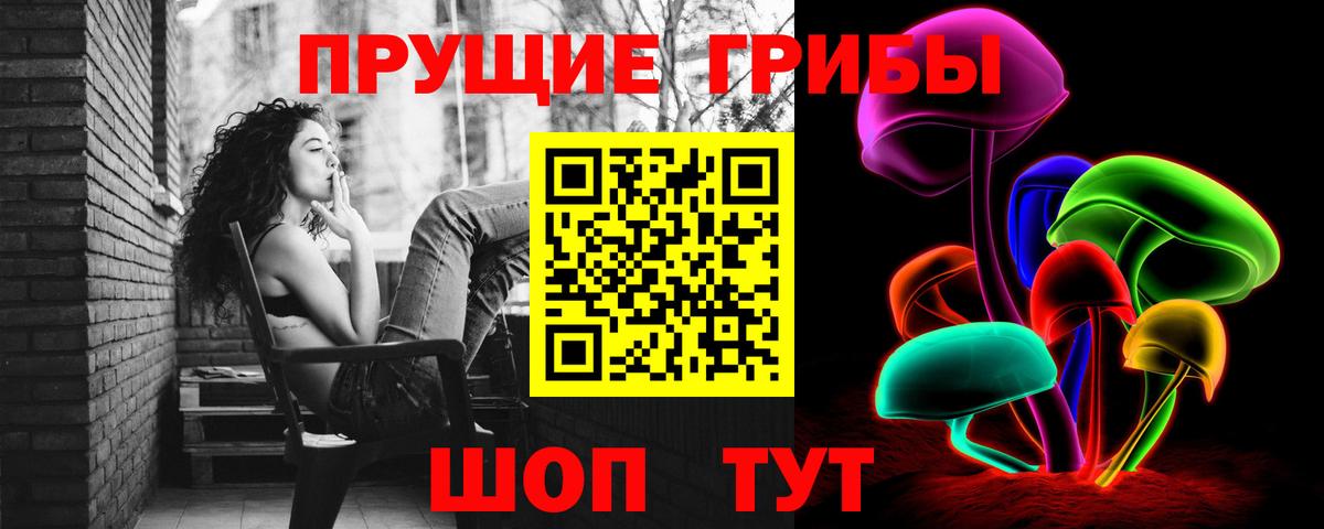 Псилоцибиновые грибы MAGIC MUSHROOMS  Вход с VPN  Галлюциногенные грибы Cubensis  сколько стоит  Щёлково 
